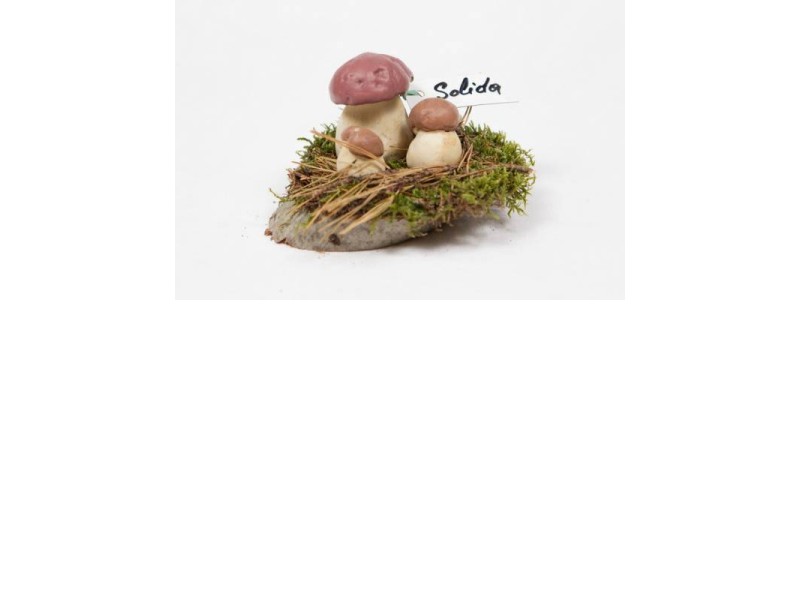 SOLIDA trda polimerna pena 1 kg 1 kg