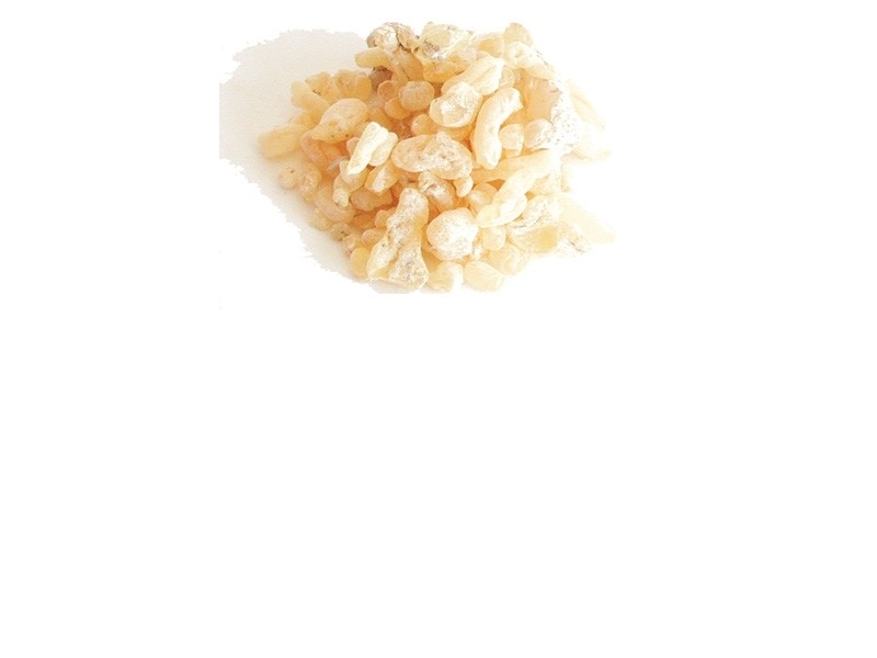 SANDARAC from Morocco