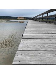 Oils--balms--waxes--resins