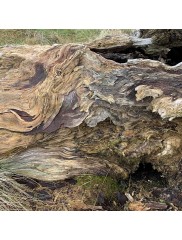 Hardening--stabilization--filling-pores