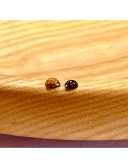 Polishes-and-coatings